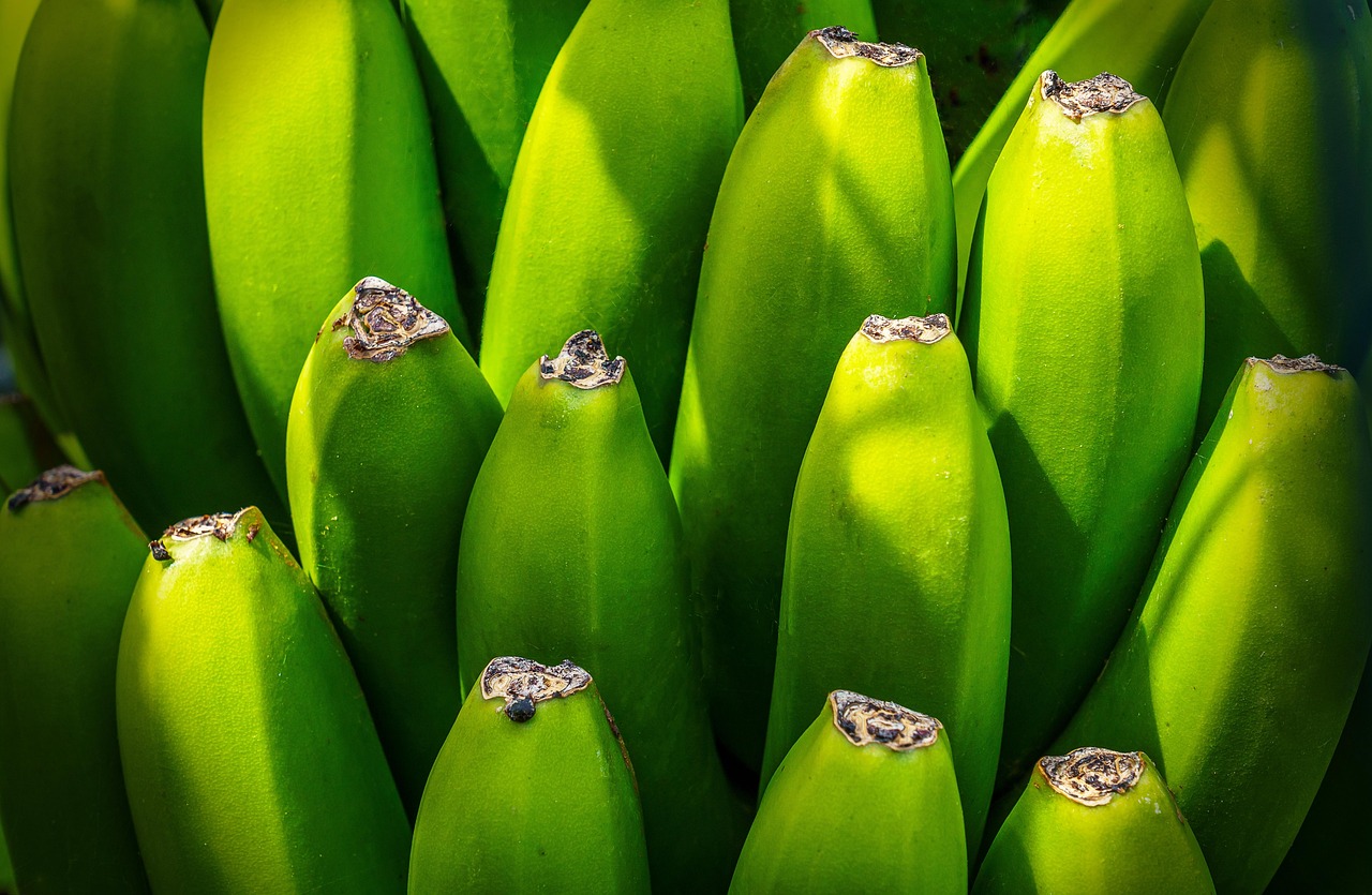 Banana tree, fruit, nourishment — Overcome Substance Abuse with Specialized Addiction Treatment in Virginia