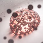 Dr. Kenneth Pettine – Stem Cell Applications and the Evolution of Spine Care